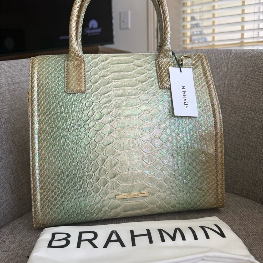 Brahmin Caroline in green velocity